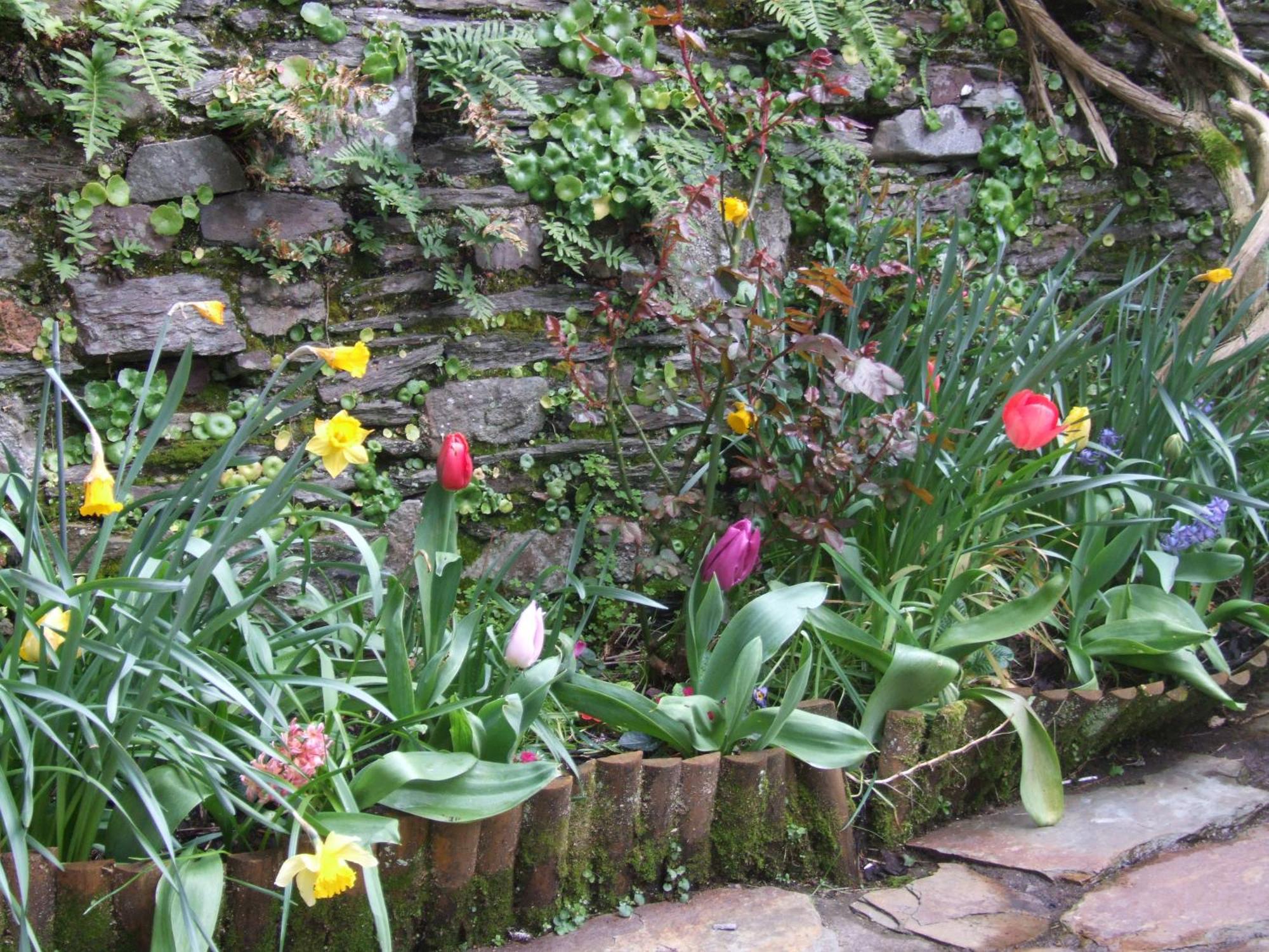 Inglenook Vila Kinsale Exterior foto